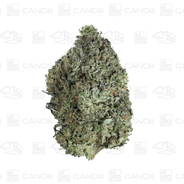 Amaretti Limon Runtz