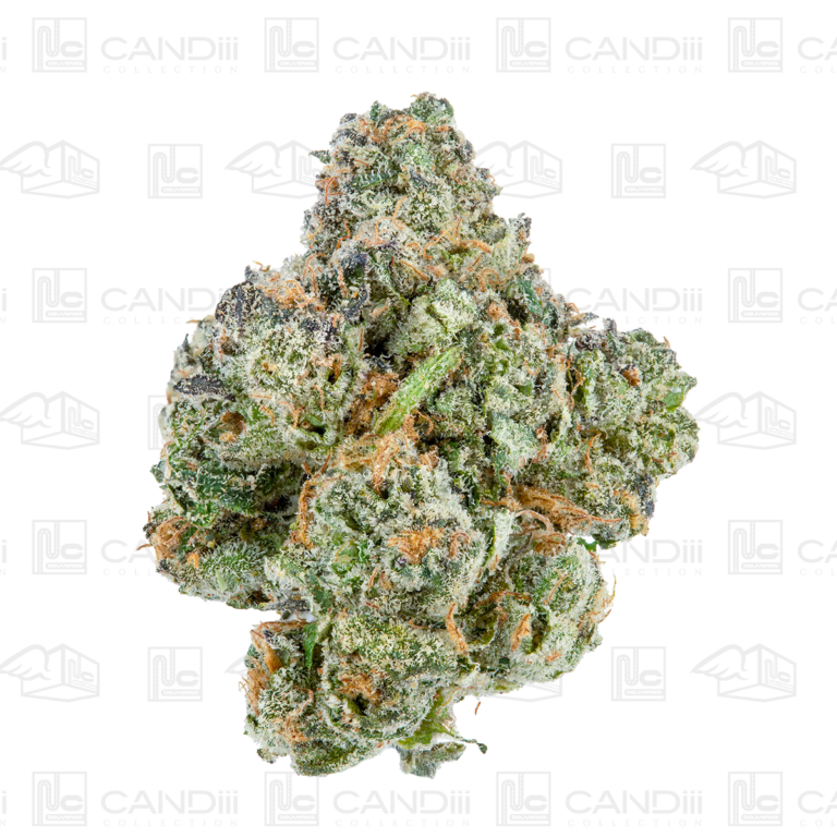 Lemon-Cherry-Gelato-Flower-1-26-Feature