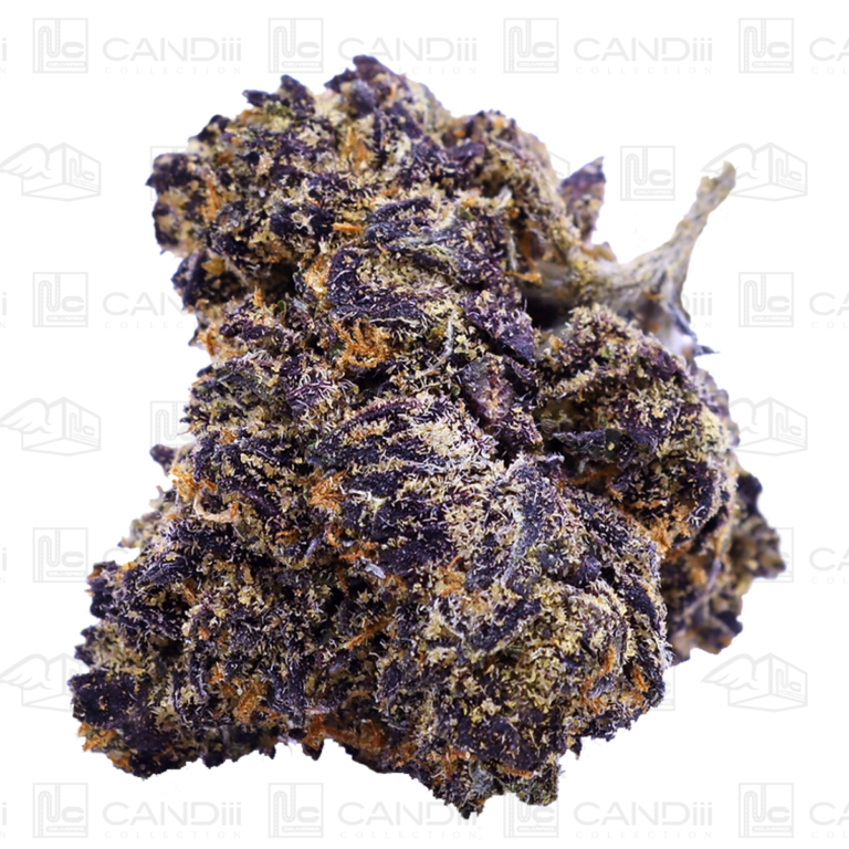 Black-Cherry-Gelato-Flower-2-26-Feature